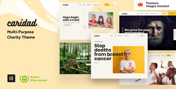 Caridad 36 – Charity WordPress Theme