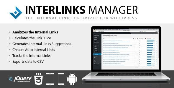 Interlinks Manager 1.41 – Internal Links Optimizer for WordPress