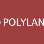 Polylang Pro 3.7.7 – WordPress Multilingual Plugin