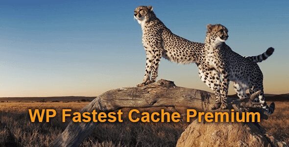 WP Fastest Cache Premium 1.7.6 – WordPress Plugin