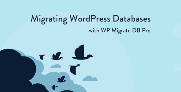 WP Migrate DB Pro 2.7.7 – Migrating WordPress Databases